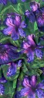 793901231_1095399102924069_8870356116293750276_n.webp